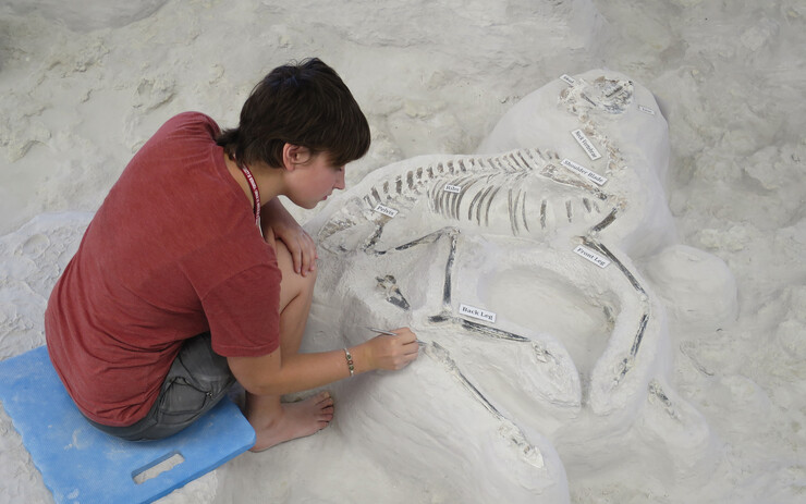  Paleontology intern Mikayla Struble works on a Pseudhipparion fossil at Ashfall Fossil Beds State Historical Park in 2016.