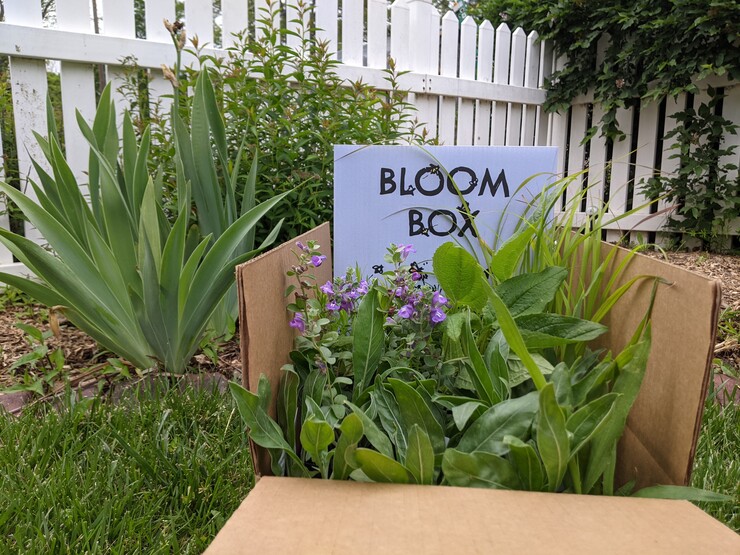 The Nebraska Statewide Arboretum, a network supported by the University of Nebraska–Lincoln, established the Bloom Box program in 2016 to get ready-to-plant pollinator plants to homes, schools, parks and other private and public lands.