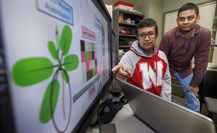 Rajib Saha, assistant professor of chemical and biomolecular engineering, and graduate student Niaz Bahar Chowdhury have created a genome-scale metabolic model for the corn root to study its nitrogen-use efficiency under nitrogen stress conditions.