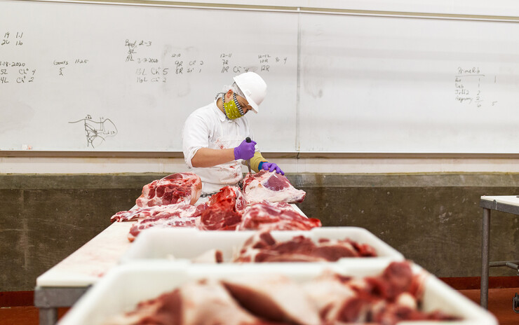 The meat processing industry experienced major disruptions as a result of the COVID-19 pandemic. Agricultural economics Professor Azzeddine Azzam has received funding from the U.S. Department of Agriculture’s National Institute of Food and Agriculture to study the impact of the pandemic on meat processors and the resilience of the industry as a whole.