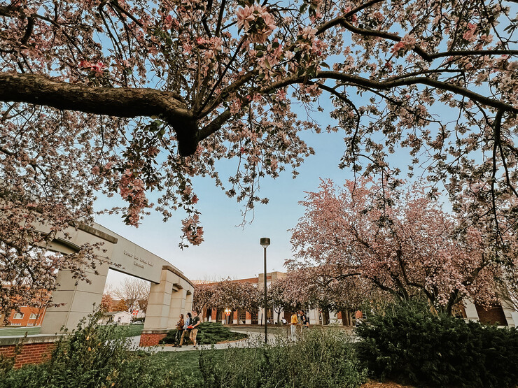 Students walking near Donald and Lorena Meier Commons, among blossoming trees
