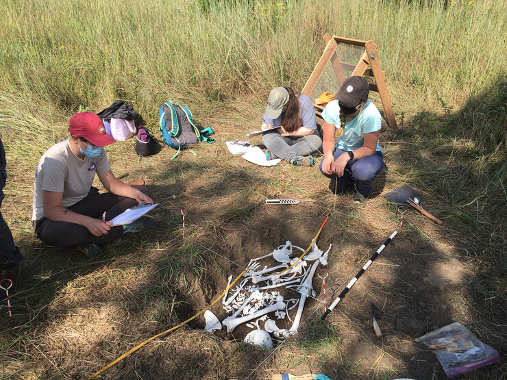 Students practice excavation skills with plastic skeletons at Reller Prairie.
