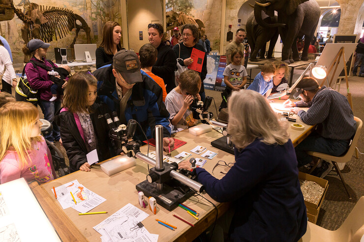 Children examine specimens under microscopes during a previous Dinosaurs and Disasters event.