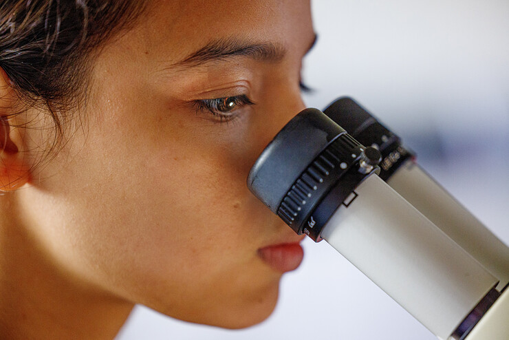 Maricela Zamora looks through a microscope.