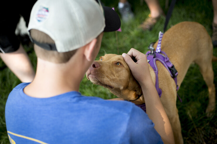 Patrick Schmidt greets a nearby dog, Ginger, during the 2018 Husker DogFest at the University of Nebraska–Lincoln.