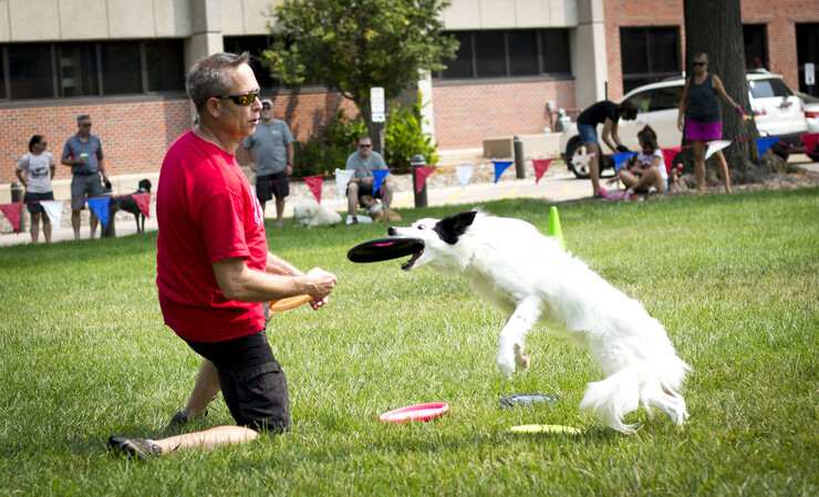 A man throws a flying disc to Micco, a dog performer with the Kansas City Disc Dogs, during the 2018 Husker DogFest.