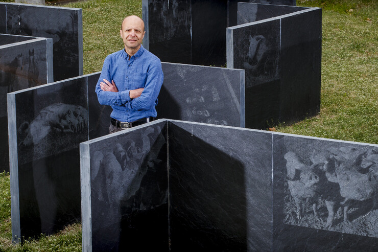 Daniel Ciobanu, professor of animal science, stands amid a maze-like sculpture.