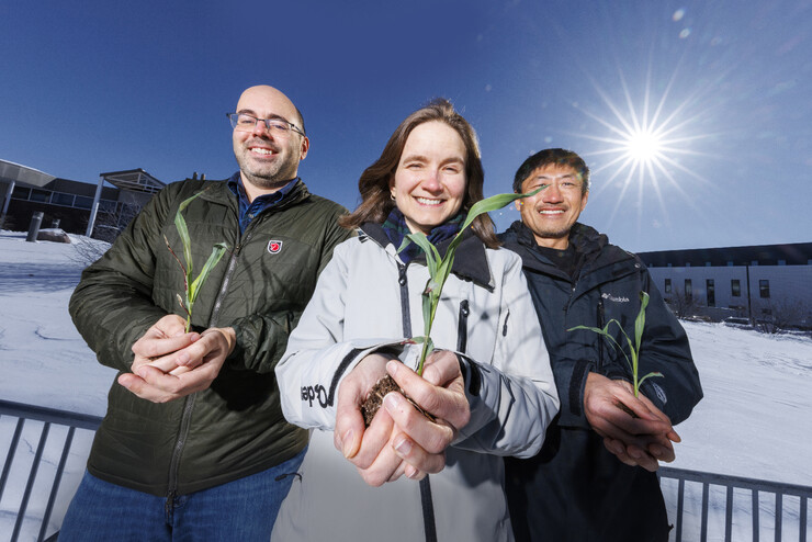 James Schnable, Rebecca Roston and Toshihiro Obata hold young sorghum plants outside of the Bioscience Greenhouses on City Campus.