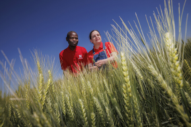 Stephen Wegulo and Katherine Frels stand in a wheat field.