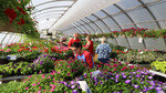 Horticulture Club spring plant sale is May 2–4