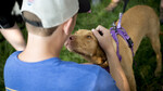Check your pup’s ‘smarts’ at Husker DogFest on Oct. 7