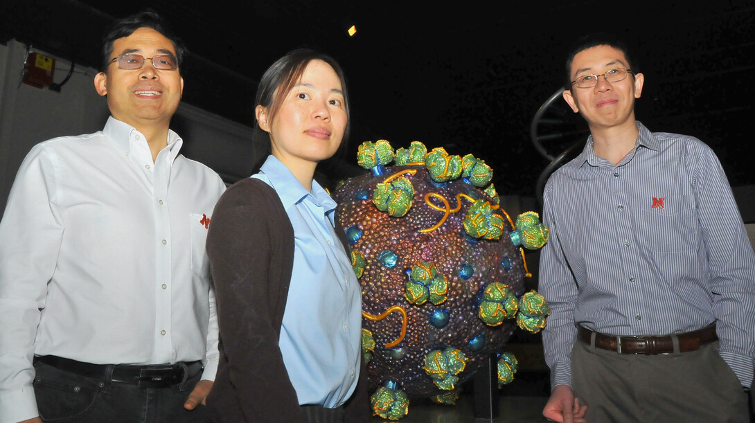 UNL researchers (from left) Qingsheng Li, Wei Niu and Jiantao Guo have received a $1.9 million grant to further research into a technique that may lead to a more effective HIV vaccine.