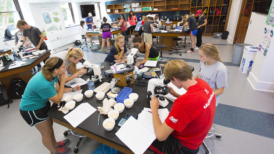 Students take part in a life sciences lab in the renovated space inside UNL's Brace Hall. The project has earned honors from the Preservation Association of Lincoln.