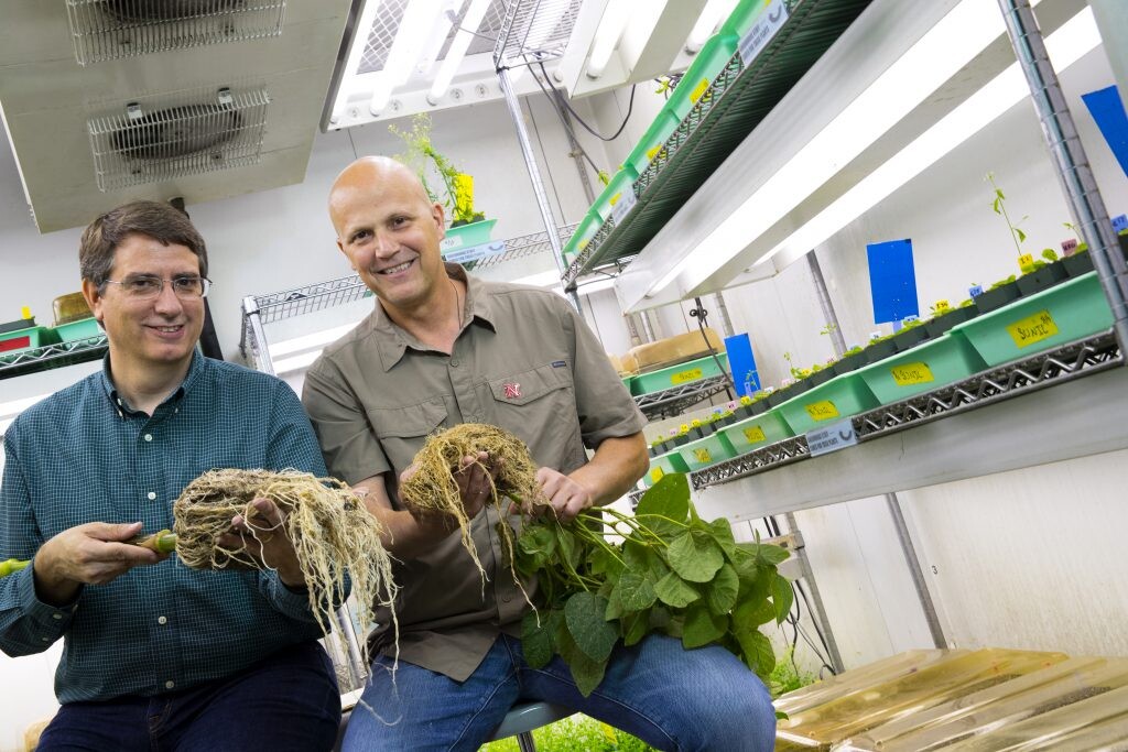 Edgar Cahoon (left) and James Alfano lead a $20 million project to study root and soil microbe interactions and improve crop productivity.