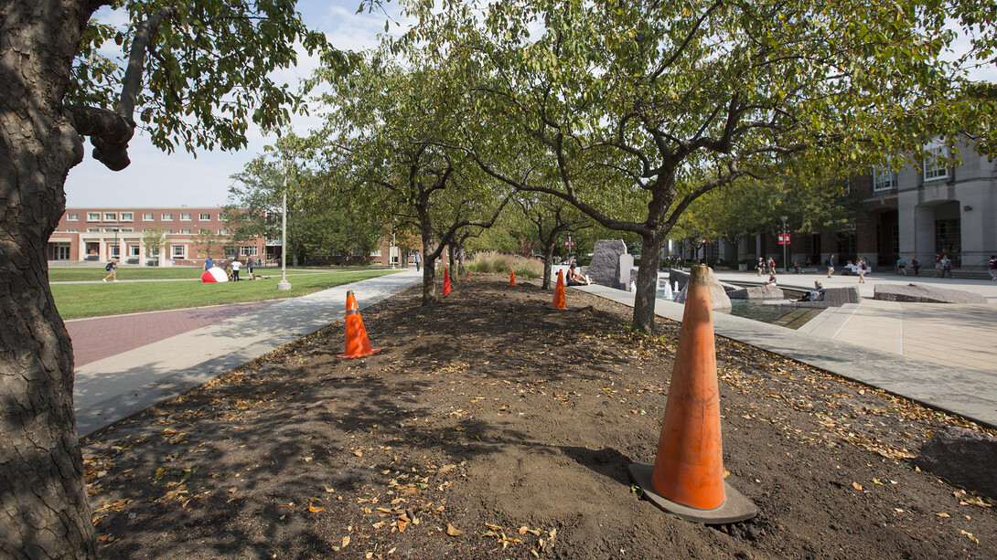 Construction cones mark spaces where poles will be placed for Nebraska's new hammock hangout. Work on the project began Sept. 13. It is expected to open for campus use before the end of September.