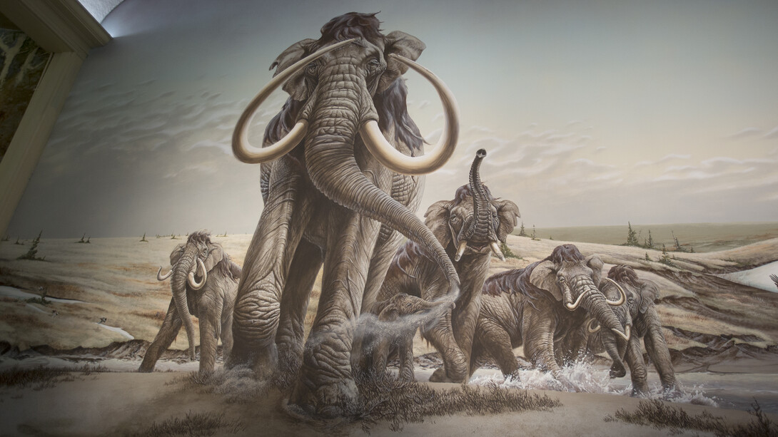 A herd of Columbian mammoths move across the plains in this Morrill Hall mural by Mark Marcuson.
