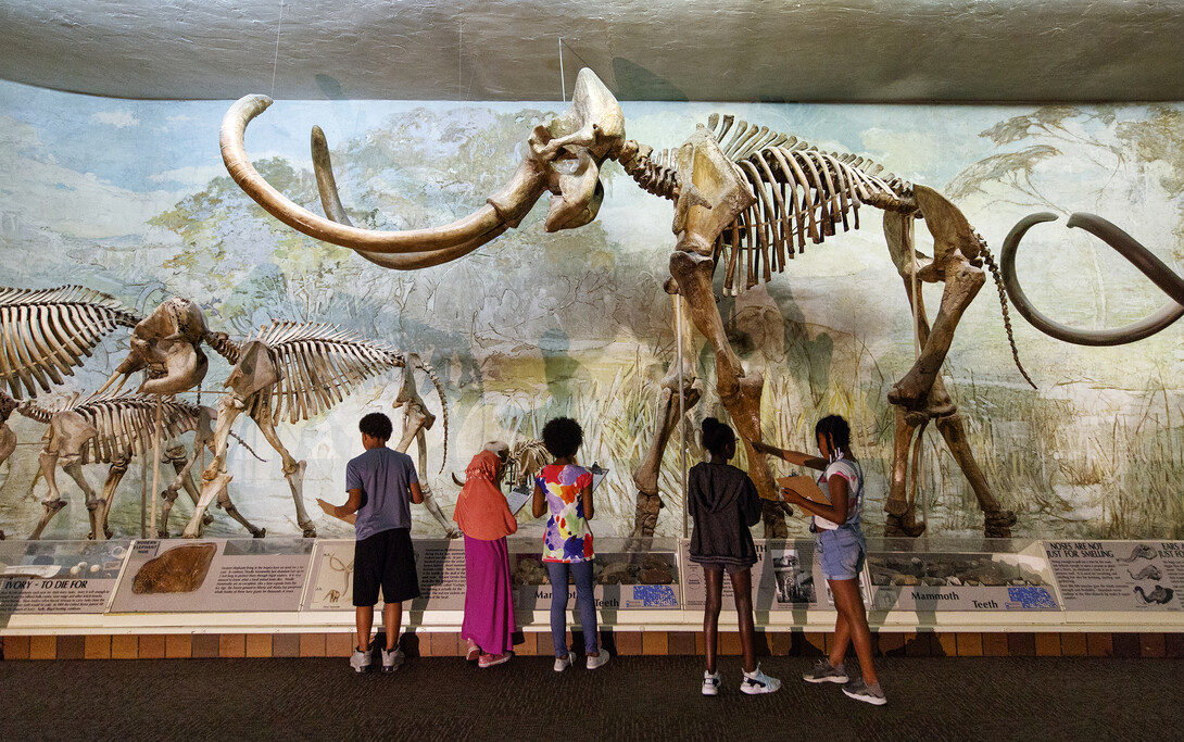 Visitors stand in awe of the mammoth skeleton in Elephant Hall in 2018.