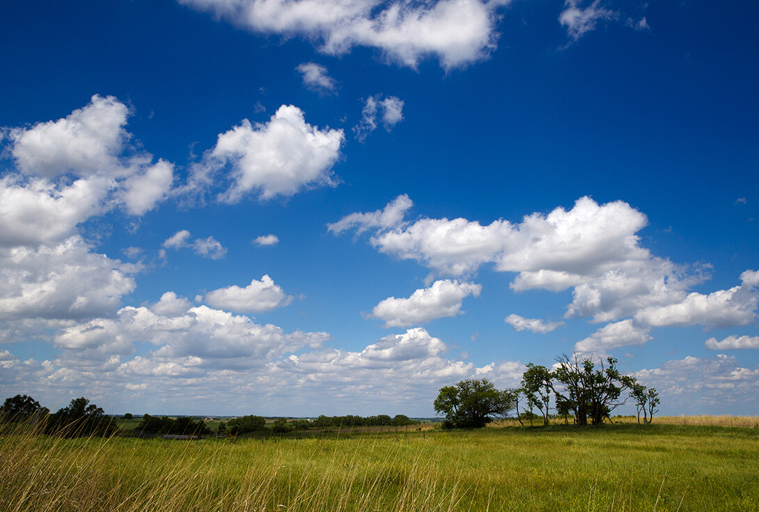 Nine-Mile Prairie