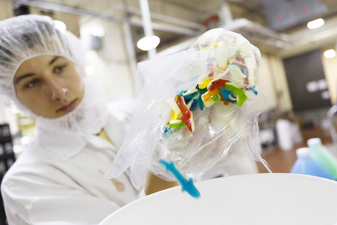 Alec Alvarez, a senior food science and technology major and student employee in the Dairy Store, measures shark gummy candies in a bucket prior to adding it to the Shark Week ice cream mixture.