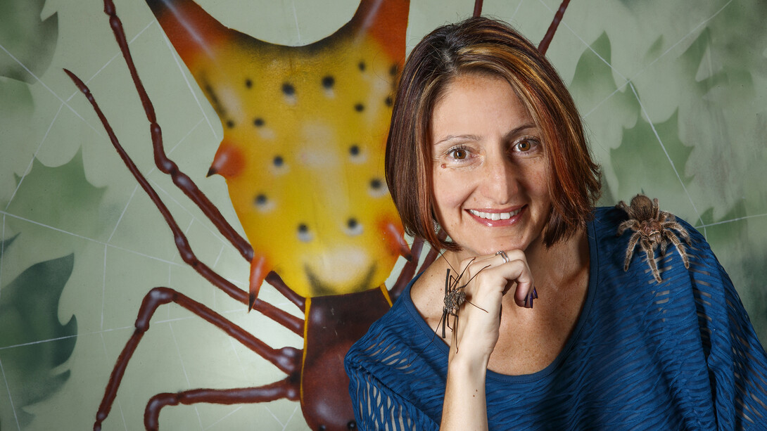 Arachnid researcher Eileen Hebets will deliver the next Nebraska Lecture at 3:30 p.m. Nov. 7 in the Nebraska Union Auditorium, The talk is free and open to the public.