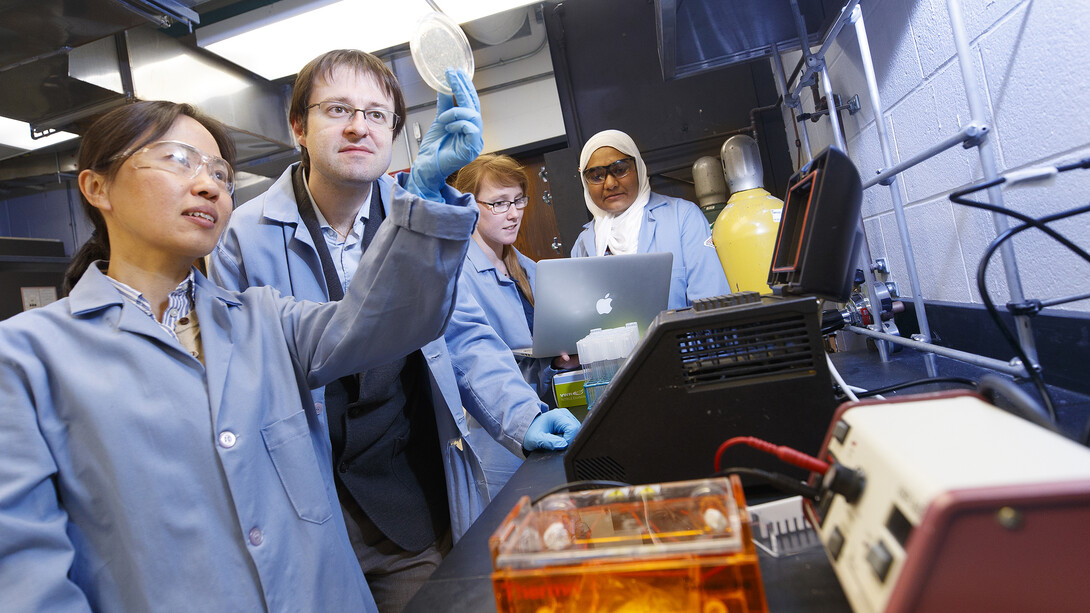 Nebraska faculty Wei Niu and Massimiliano Pierobon examine a petri dish as students Zahmeeth Sakkaff and Molly Lee work in the background. Through a new NSF-funded project, Pierobon is expanding bioengineering research on campus and STEM opportunities for Lincoln-area high school students.