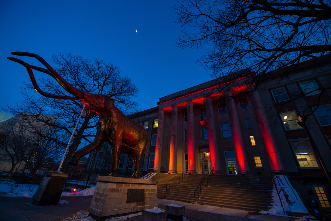 Archie the Mammoth and Morrill Hall shine as part of Glow Big Red.