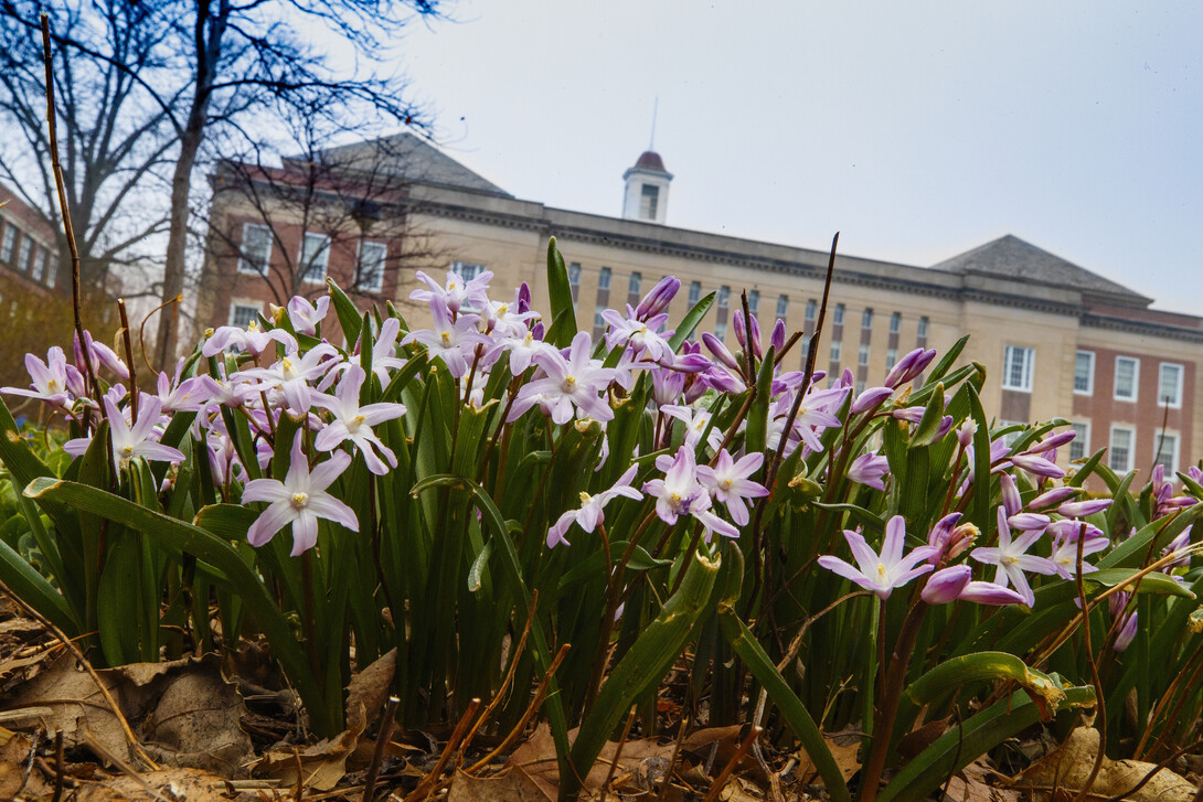 Campus Love Library