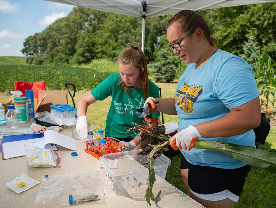 Young Nebraska Scientists High School Researchers learn laboratory skills during a field experience.