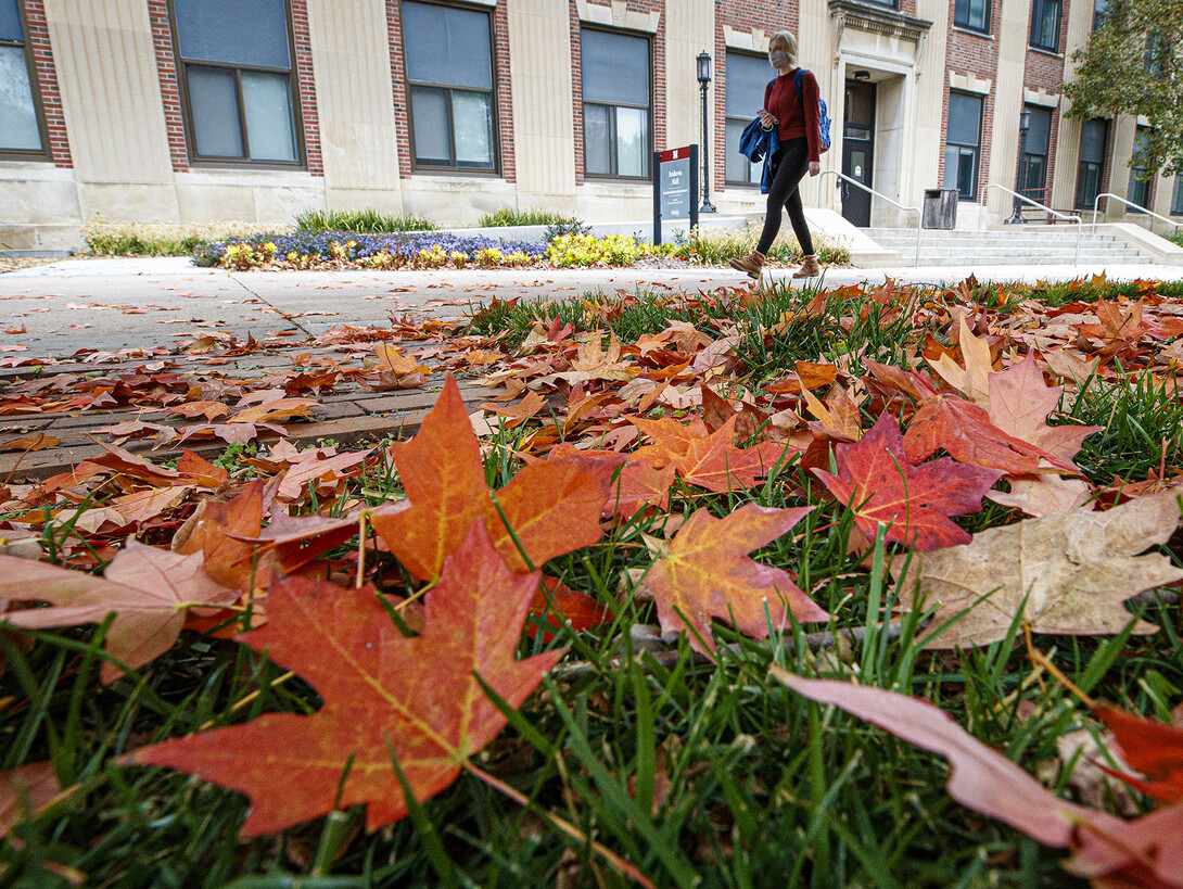 Fall leaves outside Andrews Hall. [Craig Chandler | University Communication]