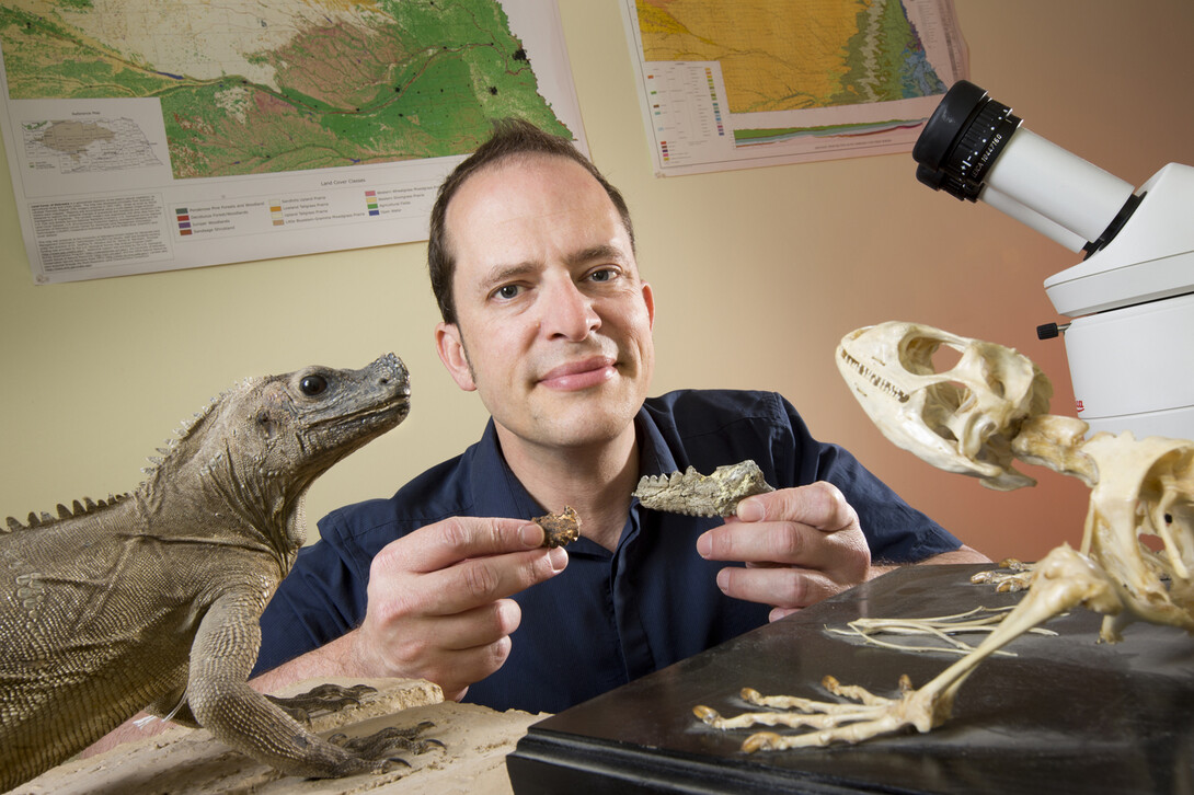 Jason Head, assistant professor of Earth and Atmospheric Sciences, holds a fossil and fossil cast from the jawbone of Barbaturex morrisoni, a giant ancient lizard. (Craig Chandler, University Communications)