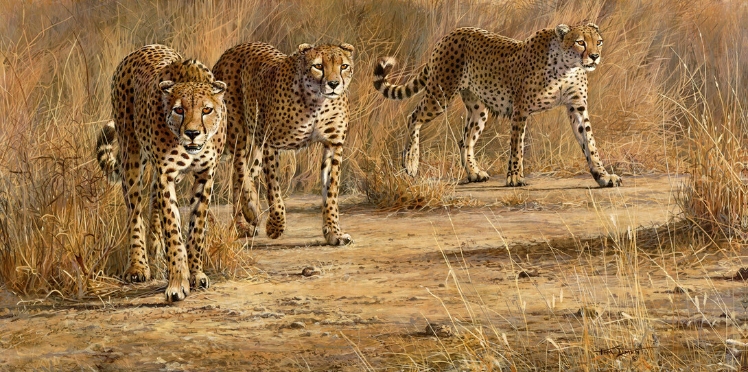 "Three Brothers" (2008) by Kim Diment is featured in "Feline Fine: Art of Cats II," on display in Morrill Hall.