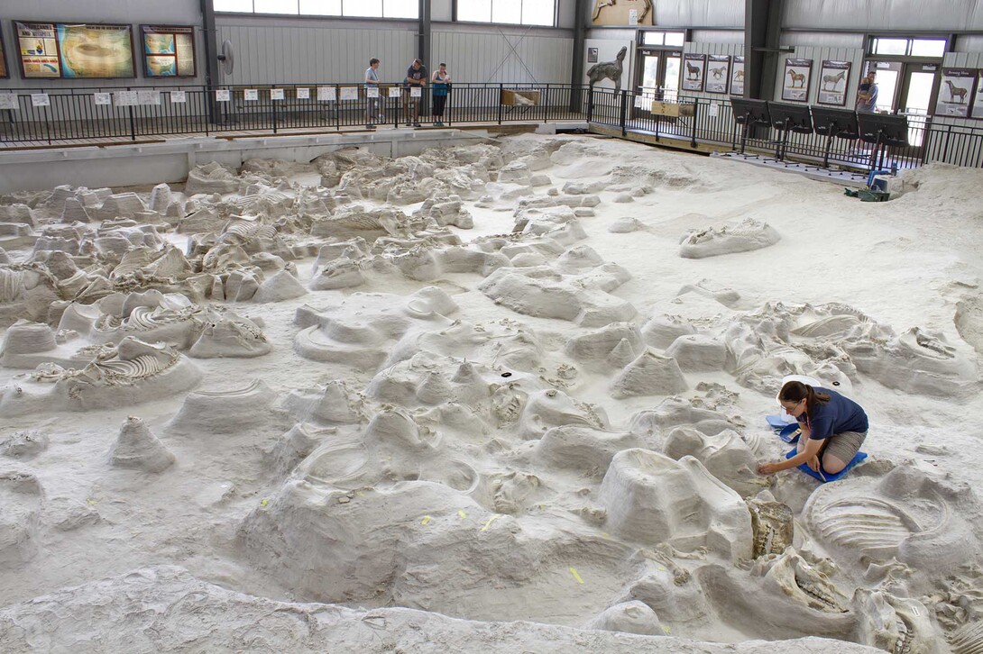 Visitors to Ashfall Fossil Beds State Historical Park watch as a student paleontologist uncovers a fossil find in the 17,500-square-foot Hubbard Rhino Barn. (NU State Museum)