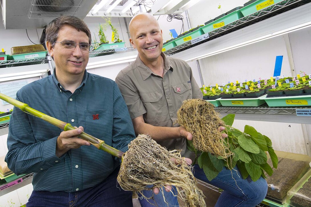 Edgar Cahoon, left, professor of biochemistry and director of UNL's Center for Plant Science Innovation, and James Alfano, professor of plant pathology at UNL, will lead a $20 million, Nebraska-based research effort to improve crop productivity.