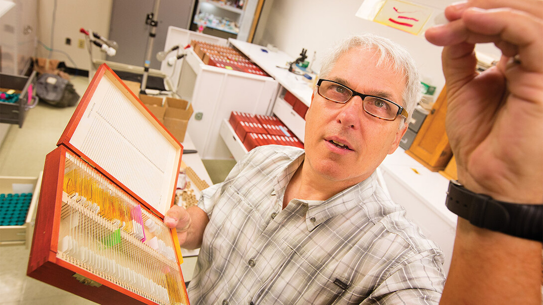 University of Nebraska State Museum curator and parasitologist Scott Gardner holds a specimen slide in the museum's Harold W. Manter Laboratory of Parasitology. Scientific research from the lab and research specimens are featured in the new exhibition "Guts and Glory: A Parasite Story" at Morrill Hall. 