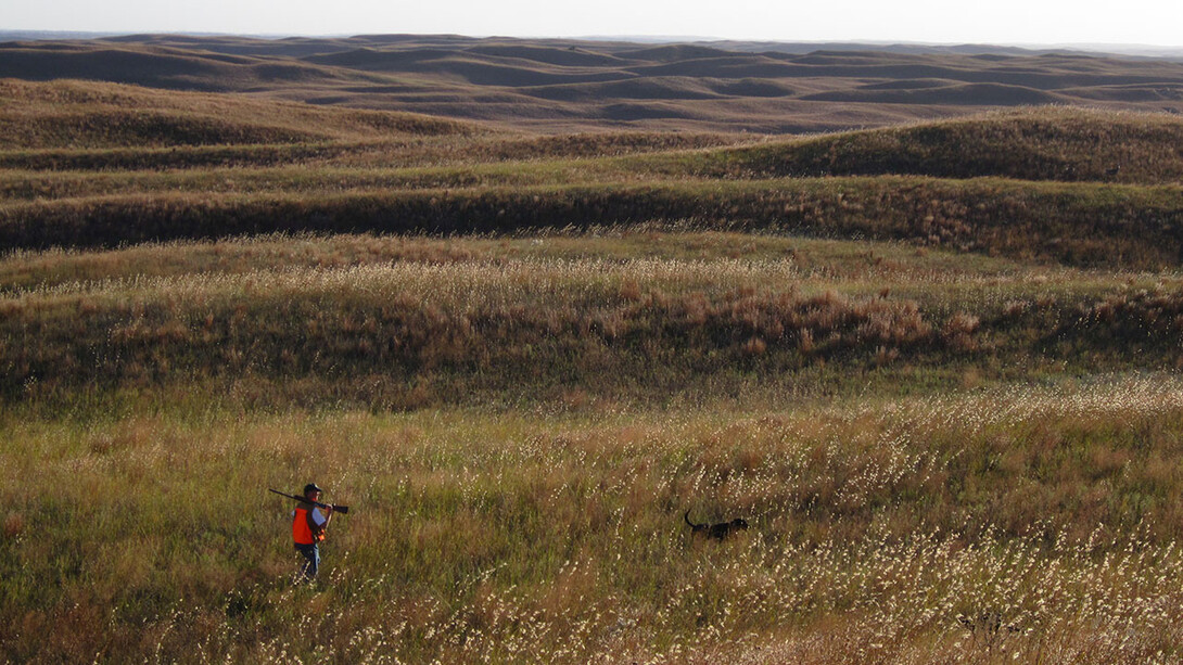 Researchers measured temperatures of grouse nests and nearby available spaces conducive for nesting in the Valentine area of the Nebraska Sandhills. They also documented the vegetation characteristics of the sites.