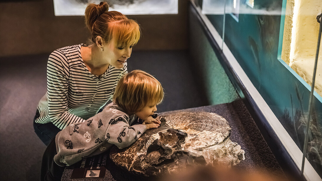 The University of Nebraska State Museum at Morrill Hall will offer free admission Sept. 22 to visitors presenting a Museum Day Live! ticket.