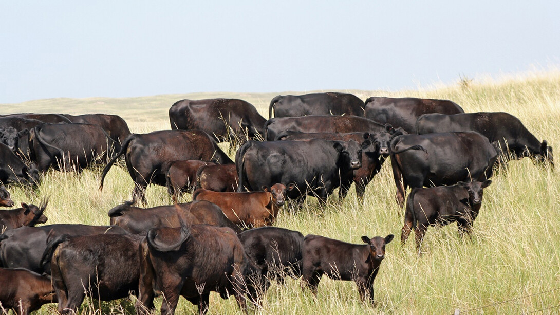 A unit cost of production workshop is 8:30 a.m. to 4 p.m. Feb. 5 and 6 at the Cedar Creek Bible Church, 23 miles north of Burwell.