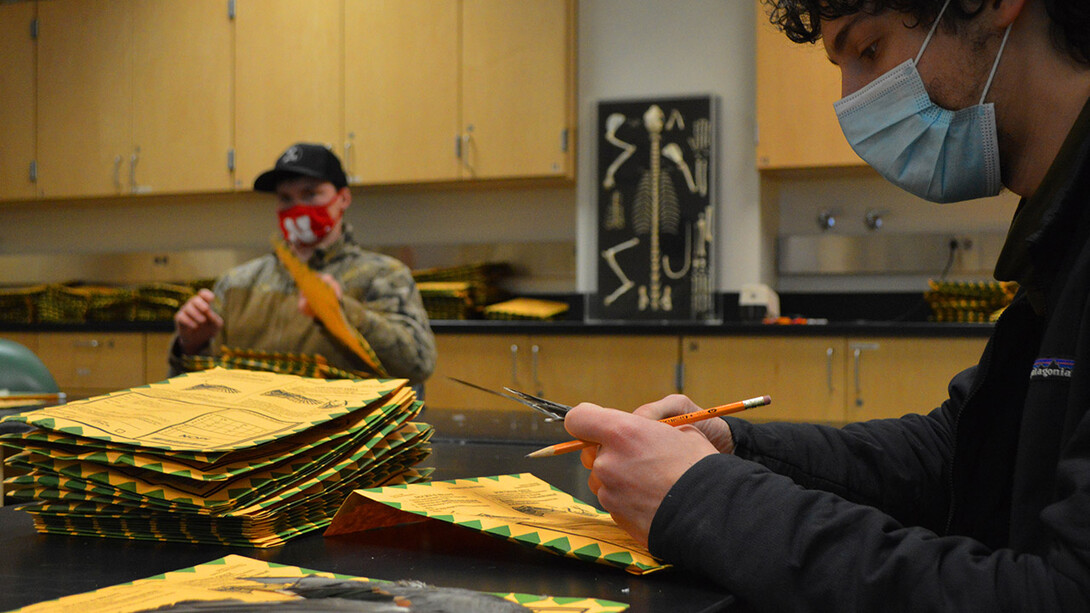 School of Natural Resources grad student Dakota Altman (foreground) and junior Kole Karcher helped identify waterfowl by age and sex, a data collection activity that would normally take place in Kansas in late February during the Central Flyway Wingbee. Due to the coronavirus, wings collected through a U.S. Fish and Wildlife Service survey were sent out to longtime Wingbee participants, who brought in help to get the work done.