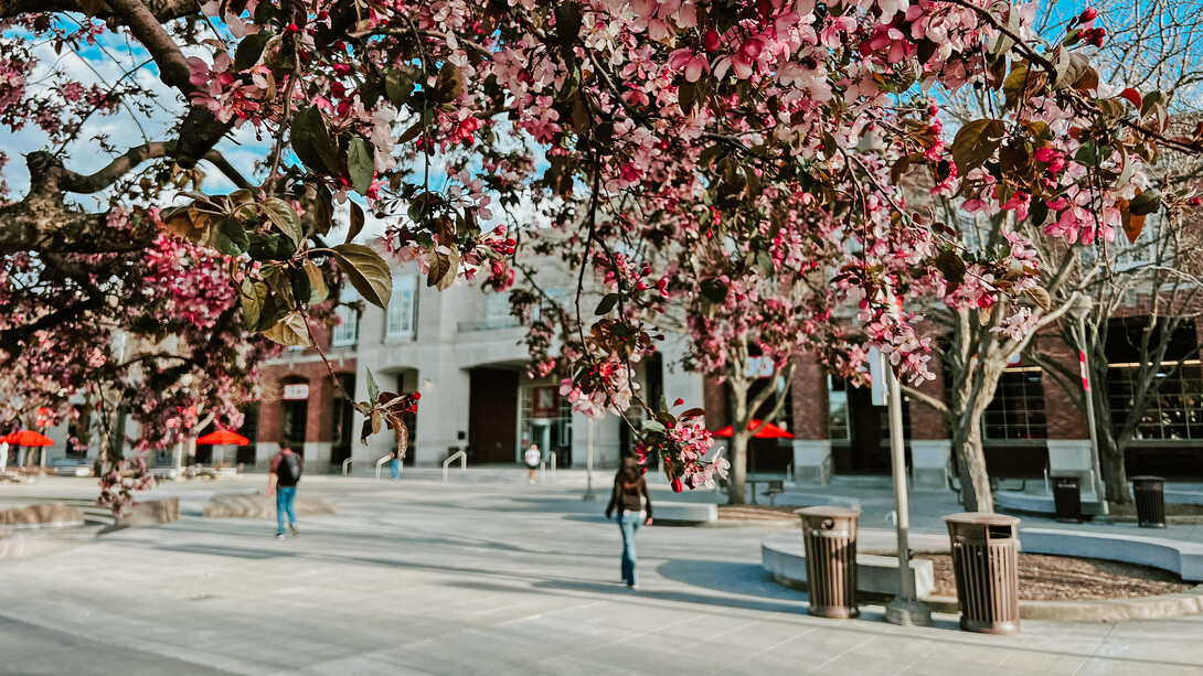 A tree branch with blossoms in foreground of Nebraska Union plaza