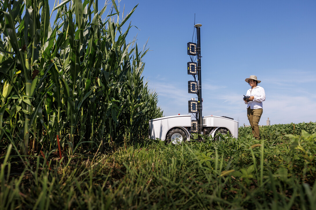 Phenobot, an IANR-created robot, measures leaf angle on corn to see how well the plant is performing photosynthesis in a field northeast of 84th and Havelock streets. Lina Lopez-Corona, a university research technician, operates the robot.