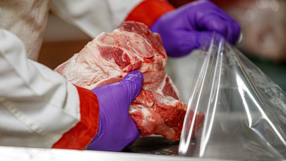 A person wearing a white labcoat and purple gloves packs a cut of pork into a plastic bag.