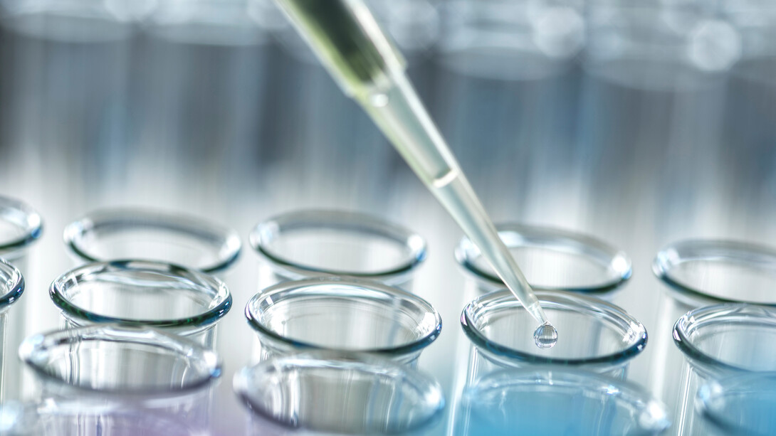 A close-up of a pipette dispensing a drop of liquid into one of about a dozen test tubes.