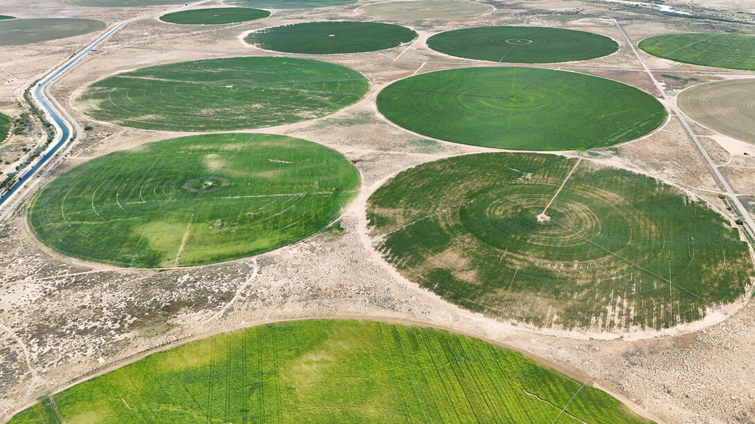 Green circles cover a pasture in New Mexico while center pivot irrigation systems water the ground.
