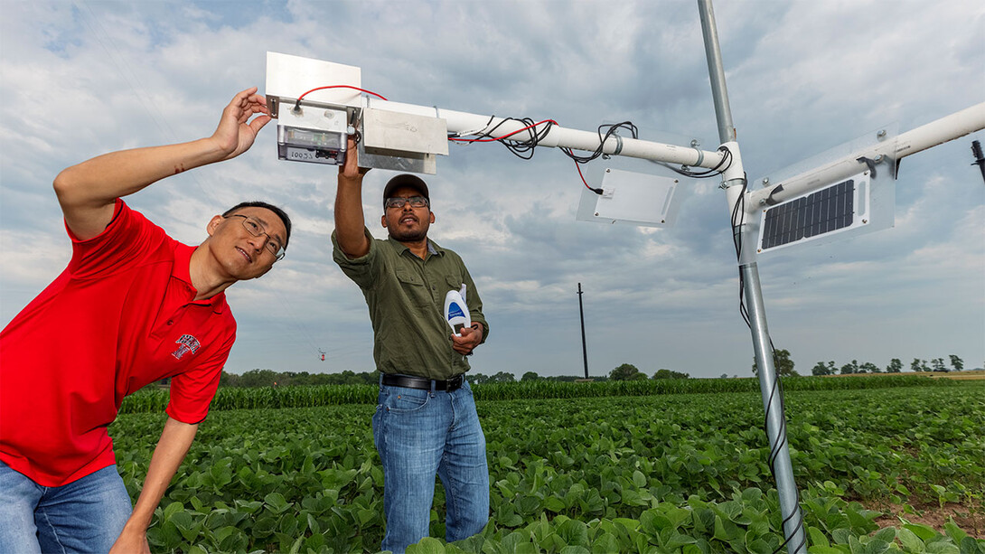 Researchers in field