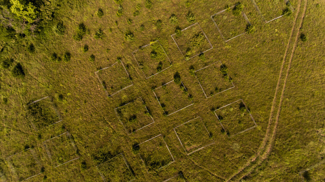 Biological/botanical study plots with invasive Red Cedar trees dot the top of the hill at Reller Prairie Field Station south of Martell, Nebraska.  The plots allowed students to measure changes within the prairie. August 3, 2021. Photo by Craig Chandler / University Communication