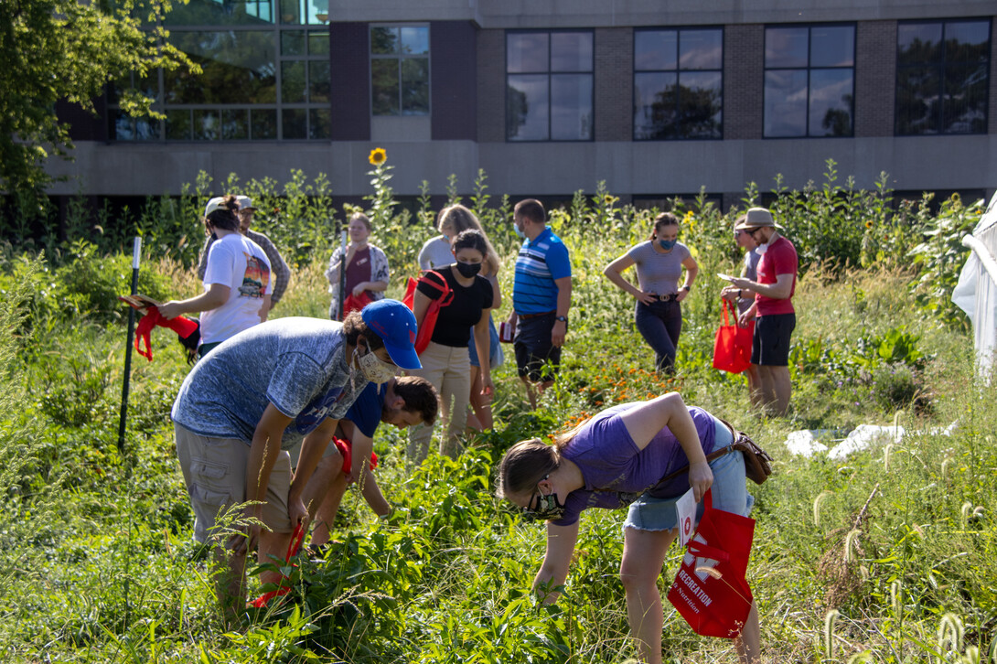 Student pick their produce at the "Pick Your Produce" event