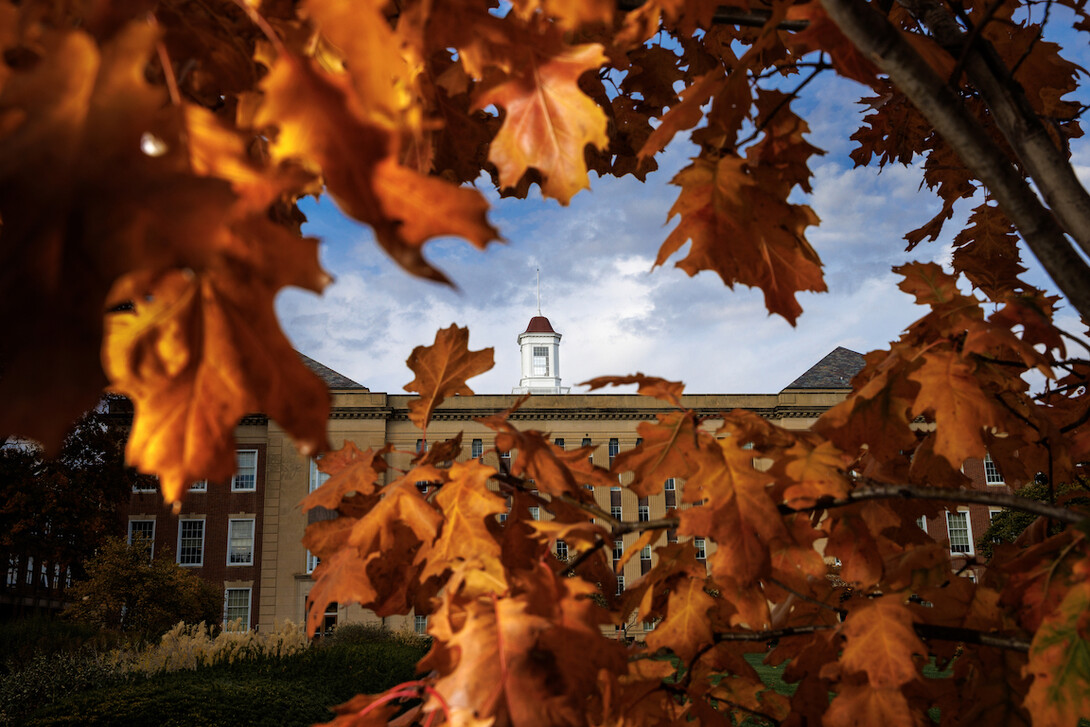 The Love Library Cupola is framed by orange tree leaves in the fall of 2022.