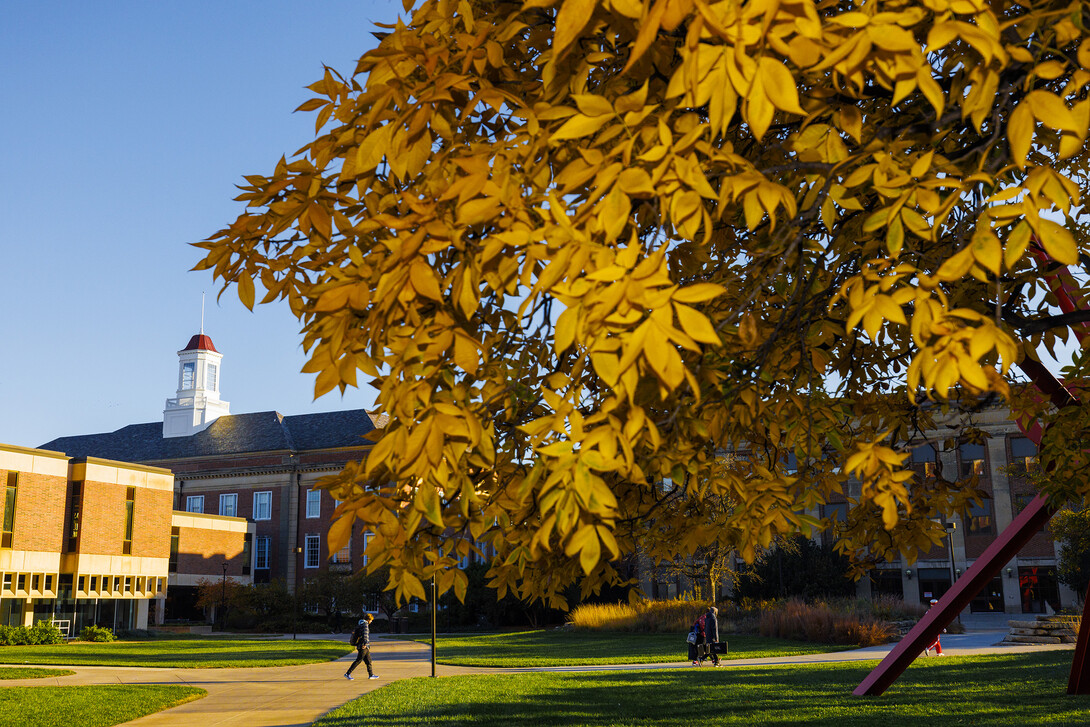 Fall leaves encase Love Library.