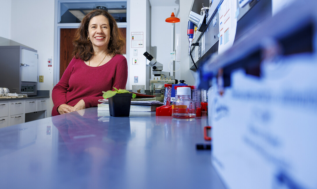 Clemencia Rojas, associate professor of plant pathology, in her Beadle Center lab.