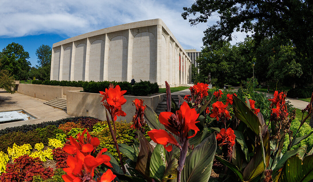 Flowers outside the Sheldon in the summertime. 
